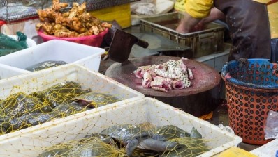 The research from China notes that patients infected with the virus were exposed to animals at a wholesale market, where seafood, poultry, snakes, bats and farm animals are sold ©Getty Images