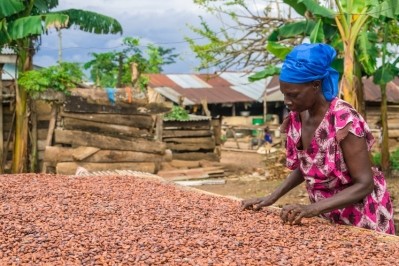 'The ability of cooperatives to assess risks will also help them maintain, and potentially grow, market access in Europe and elsewhere'. Pic: Fairtrade International