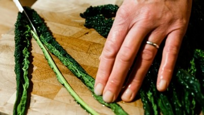 Kale stems can be upcycled into powders that catalyse the growth of essential gut flora. ©Getty Images