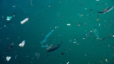 The South Korean government has sought to quell rising consumer concerns over microplastic pollution rates in food. ©Getty Images