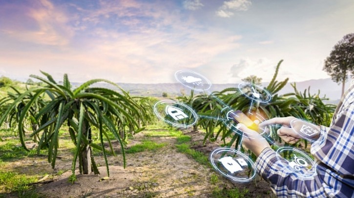 Artificial intelligence has been cited as a crucial component of efforts to transform APAC’s agrifood sector. ©Getty Images